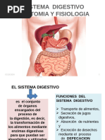 Aaa Sistema Digestivo RN 2024