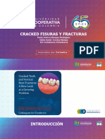 Cracked Fisuras y Fracturas