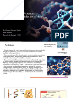 Introducción A Las Proteínas 2024