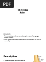 The Knee Joint and Popliteal Fossa