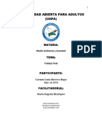 LA EVOLUCION DEL DESARROLLO DEL TURISMO EN LA REPUBLICA DOMINICANA (Final)