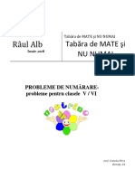 Probleme de Numarare Tabara de Mate - Raul Alb - 2018