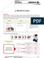 La Morfología 2 Año