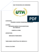 Mapa-Conceptual 6 MERCADOS FINANCIEROS - ALEJANDRA MARIA ZELAYA MONTECINO