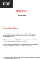 Urea Cycle 2