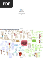 Mapa Mental Tema 26 410806 Downloadable 2668537