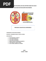 Informe Psicologia