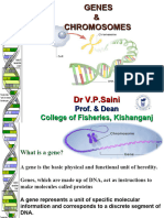 Genes &chromosomes