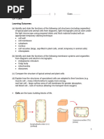 CH 1 Cells Notes