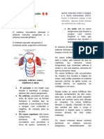 Morfo IV - Cardio