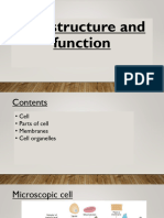 Cell Structure and Function