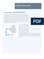 La Circulation Extracorporelle - Chirurgie Cardiaque - Clinique Saint-Augustin