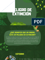 Animales en Peligro de Extinción