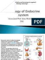 Body System II 7 Endo 1