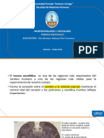 Mehu604 - U1 - t1 - Semanas 2 Tronco Encefalico