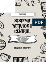 Sistema Nervioso Central