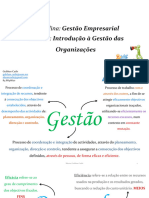 Tema 3.2 - Introdução À Gestão Das Organizações