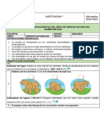 CCNN - Evaluacion - Metacognitiva