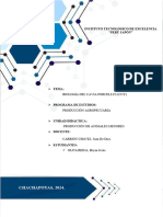 Biología Del Cuy