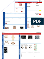 Resúmenes Integrales - Obstetricia