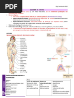 Sindrome de Cushing MED10