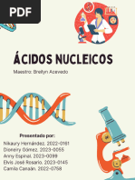 Acidos Nucleicos