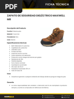 Zapato Dielectrico Maxwell