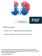 3 - Excretion Notes