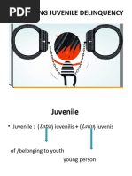 Unraveling Juvenile Delinquency