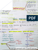 Cell Injury Pathology