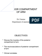 Posterior Compartment of Arm 9 Mar 2024