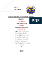 Informe de Sistema Respiratorio