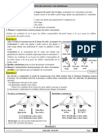 Lois Stat ESSEDDYQY - Exercices