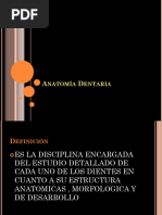 Anatomia Dental Generalidades