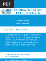 Promotores en Ecoeficiencia