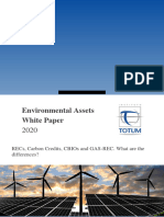 ENG White Paper Environmental Assets