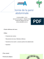 Anatomie de La Paroi Abdominale DR SEBAI