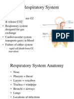 Respiratory