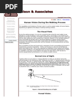 Nelson & Associates - Human Factors - Visual Acuity & Line of Sight