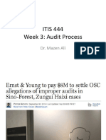 3 Audit Process