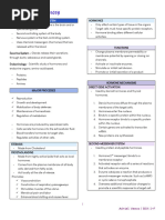 Endocrine System Transes