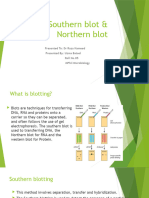 Southern Blot, Northern Blotting, Western Blot