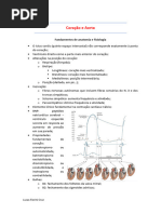  Sistema Cardiovascular