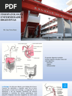 Fisiopatologia Enfeermedades Digestivas - DR Poma