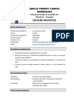 Curriculum Vitae 2