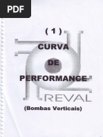 Curvas de Performance Reval 02