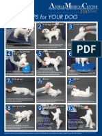 2012dog Exercise Poster