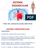 Sistema Cardiovascular