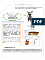 Taller 1 Mecanismos de Transporte Celular - Imprimir