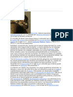 PDF Documento